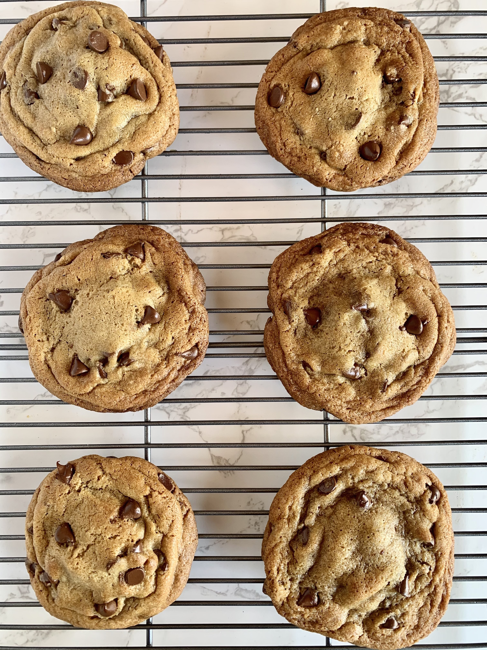 Chocolate Chip Cookies on a Rack