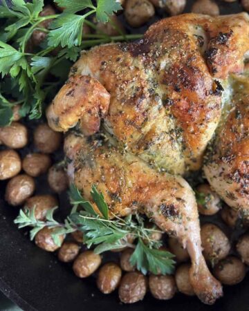 Close up of whole roast spatchcock chicken with baby potatoes and herbs in a cast iron skillet.