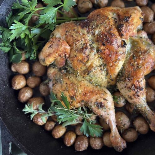 Close up of whole roast spatchcock chicken with baby potatoes and herbs in a cast iron skillet.
