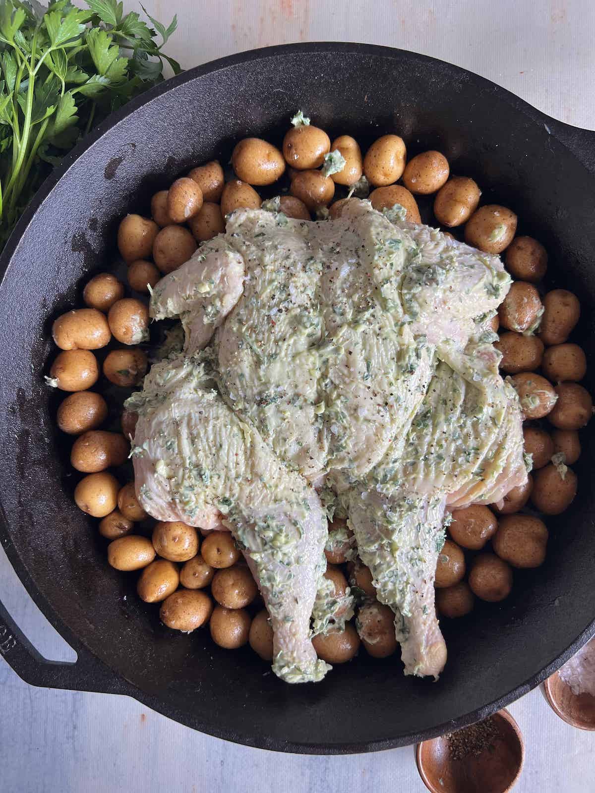 Whole raw spatchcock chicken covered in garlic herb butter in a cast iron pan surrounded by baby potatoes.