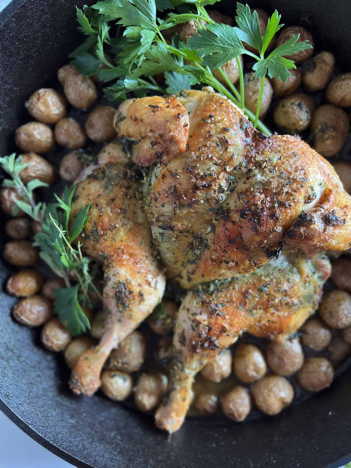 Whole roast spatchcock chicken with baby potatoes and herbs in a cast iron pan.