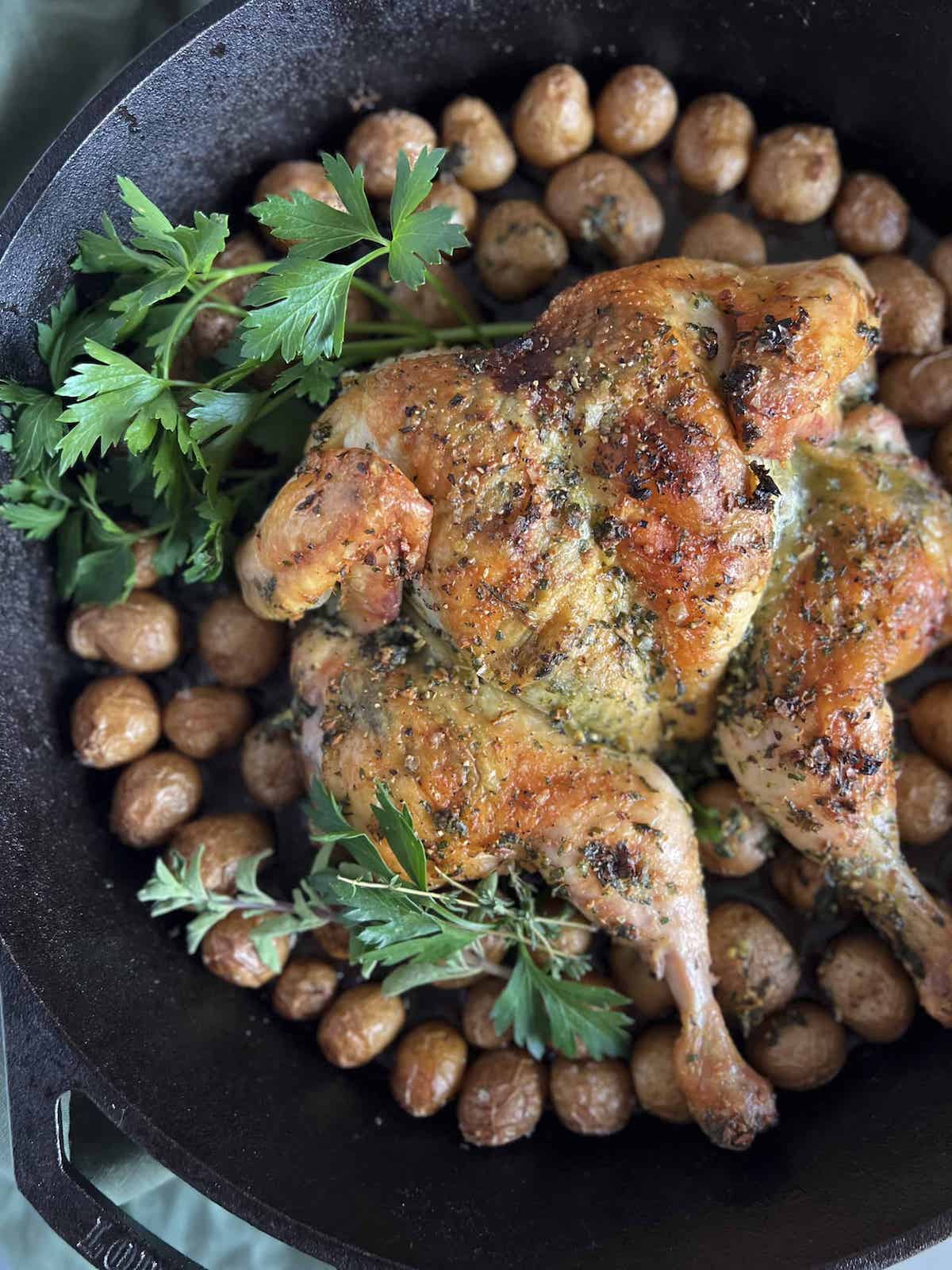 Spatchcock roast chicken and baby potatoes with fresh herbs in a cast iron pan.