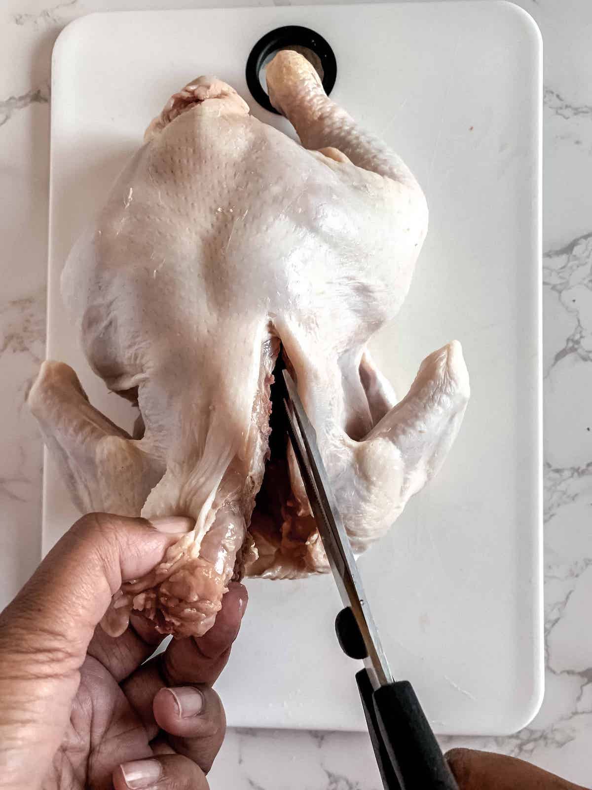Brown hands using kitchen shears to remove backbone of whole raw chicken.