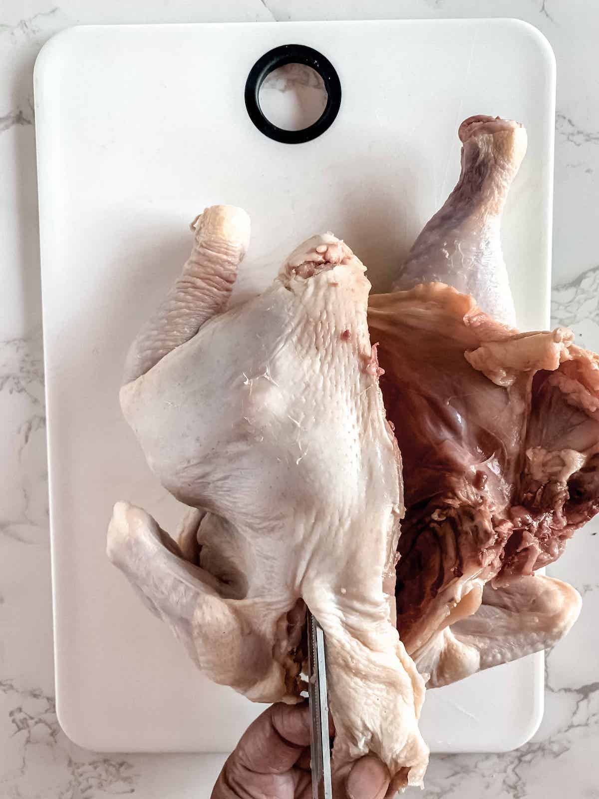 Brown hands using kitchen shears to remove backbone of whole raw chicken.