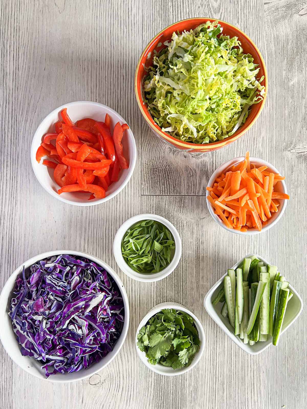 Red cabbage, napa cabbage, red pepper, carrot, cucumber, cilantro and scallions all chopped in little bowls.