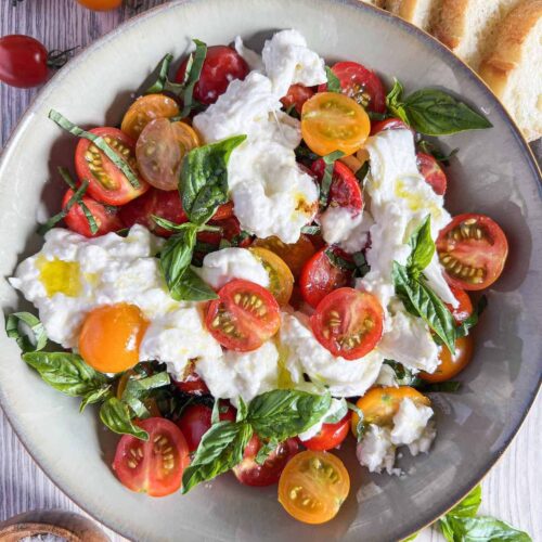 Grey bowl full of cherry tomato caprese salad with torn burrata and basil leaves.