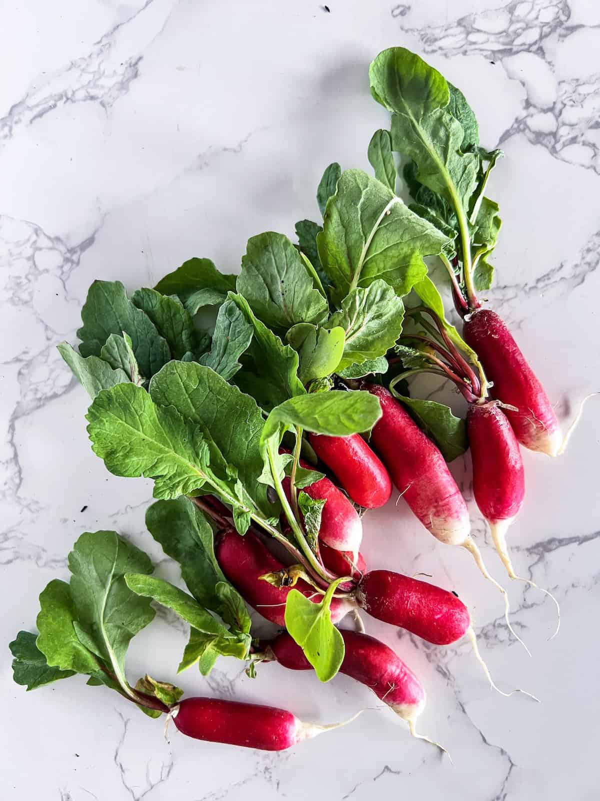 A bunch of French Breakfast radishes.