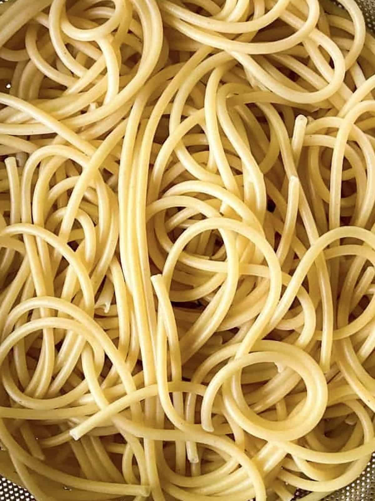Close up of cooked bucatini noodles.